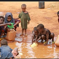NEED BORE HOLE FOR CLEAN WATER